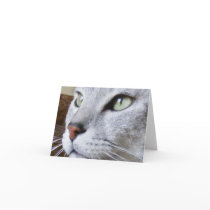 Egyptian Mau Greeting Card