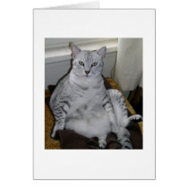 Egyptian Mau cards by brookiemau Egyptian Mau cards