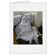 Egyptian Mau Cards