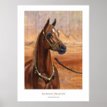 Egyptian Princess Arabian horse poster ALL SIZES
