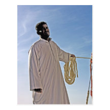 Egyptian Sailing Master Postcards