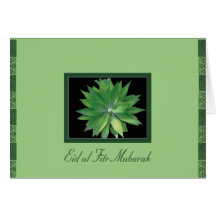 Eid Greeting Greeting Card