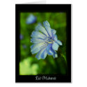 Eid Mubarak - happy Ramadan cards by Rainmountain Eid Mubarak - happy Ramadan cards