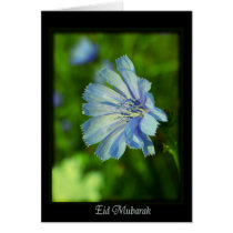 Eid Mubarak - happy Ramadan cards