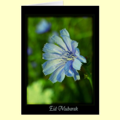 Eid Mubarak - happy Ramadan Card by Rainmountain