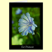Eid Mubarak - happy Ramadan cards