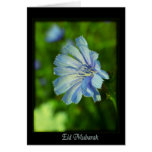 Eid Mubarak - happy Ramadan Card