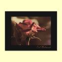 Eid Mubarak - red rose postcard