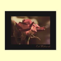 Eid Mubarak - red rose postcard