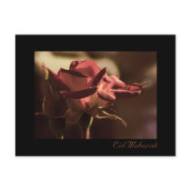 Eid Mubarak - red rose postcard