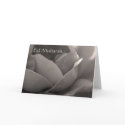 Eid Mubarak - rose card in b&w