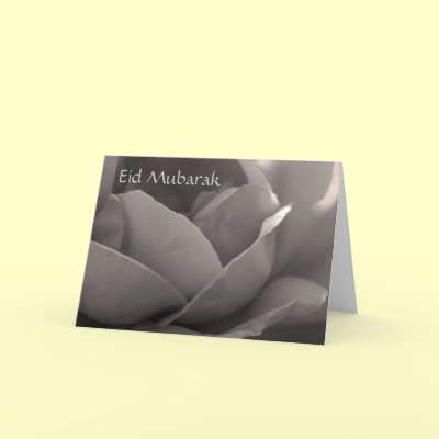 Eid Mubarak - rose card in b&w by Rainmountain