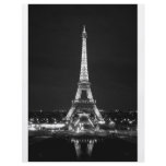 Eiffel Tower at Night - B/W flyers