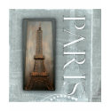Eiffel Tower Design shirt
