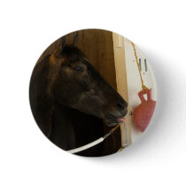 Eight Belles Pinback Buttons