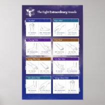 eight extraordinary vessels poster
