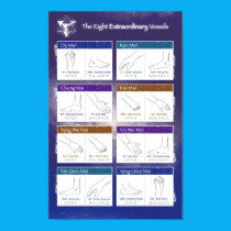 eight extraordinary vessels poster