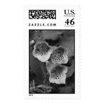 eights and zeros postage