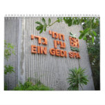 ein, gedi, spa, dead, sea, israel