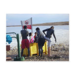 ein, gedi, spa, dead, sea, israel