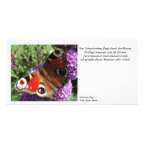 Ein Schmetterling fotokarten