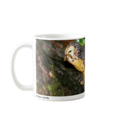 Einstein 01 coffee mugs by turtletails