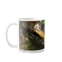 Einstein 01 coffee mugs
