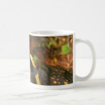 Einstein 01 mugs