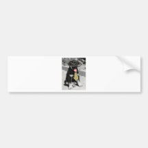 Einstein is one smart black puppy dog bumper stickers