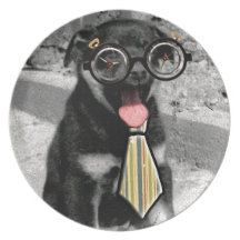 Einstein the black puppy with glasses plate