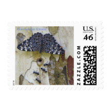 EkoArts Postage Stamps Butterfly Series