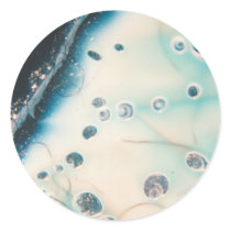 ekos plastic lagoon Sticker