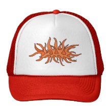 ekos sea anemone cap trucker hat