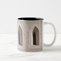 ekos window Mug mugs