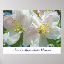 El arte mágico de los flores de Apple de la natura Impresiones