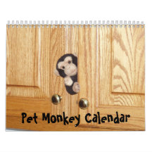 El calendario oficial del mono del mascota