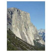 El Capitan flyers