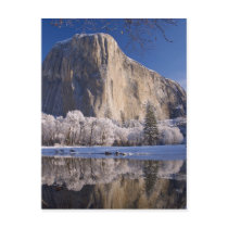 El Capitan reflects into the Merced River in 2