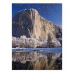 El Capitan reflects into the Merced River in 2 Postcards