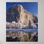El Capitan reflects into the Merced River in 2 Print