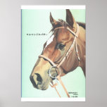 El Condor Pasa posters