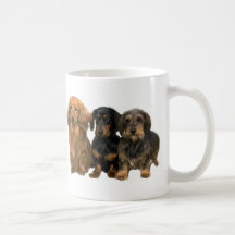 El Dachshund adora la taza