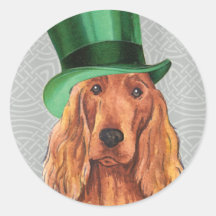 El día Irish Setter de St Patrick Etiquetas Redondas