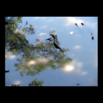 El Dorado Lake Kansas posters
