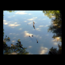 El Dorado Lake Kansas posters