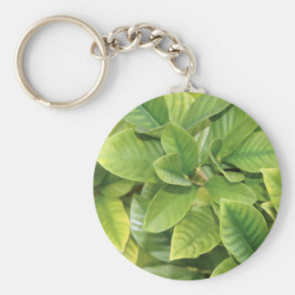 El Gardenia pone verde llavero