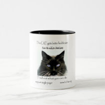 El gato consigue una mejor atención sanitaria tazas