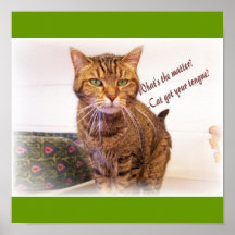 ¿el gato consiguió su lengua? Poster