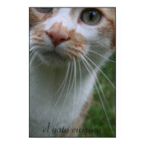 el gato curioso posters