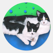 El gato del smoking hermana a los pegatinas
